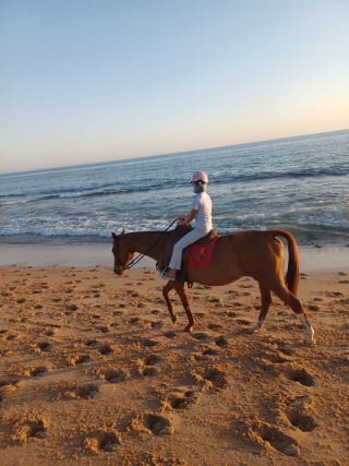 Cabalgamarra al atardecer en playa Zahora, 1'5h
