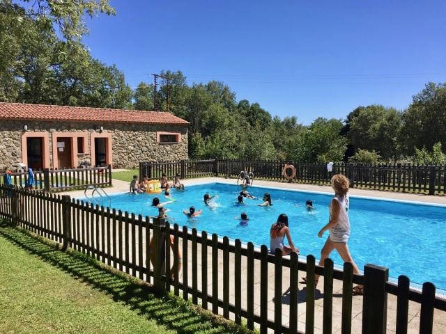  Cooling off in the pool 