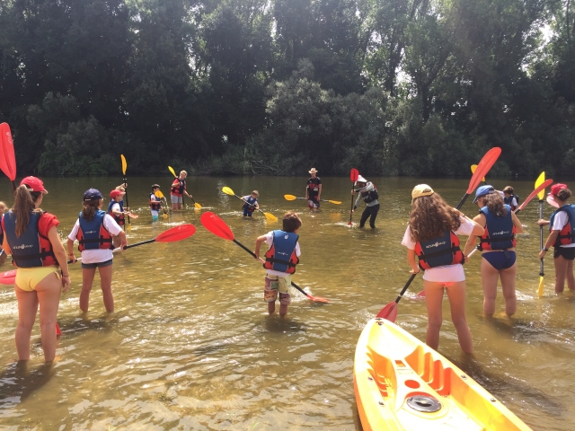 Actividades