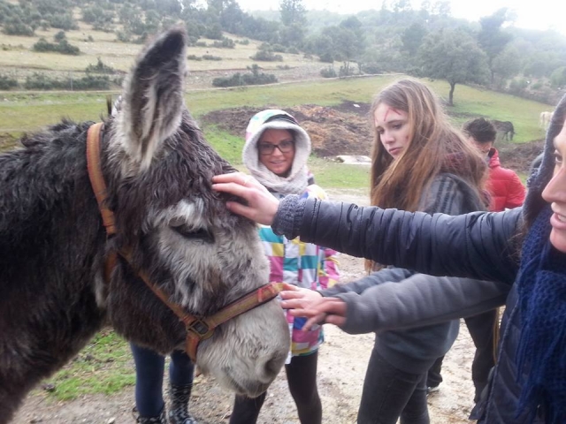 Actividades en la granja escuela