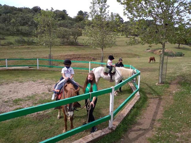 subidos a los caballos