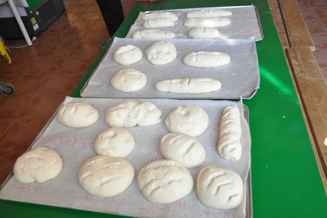 fare il pane 