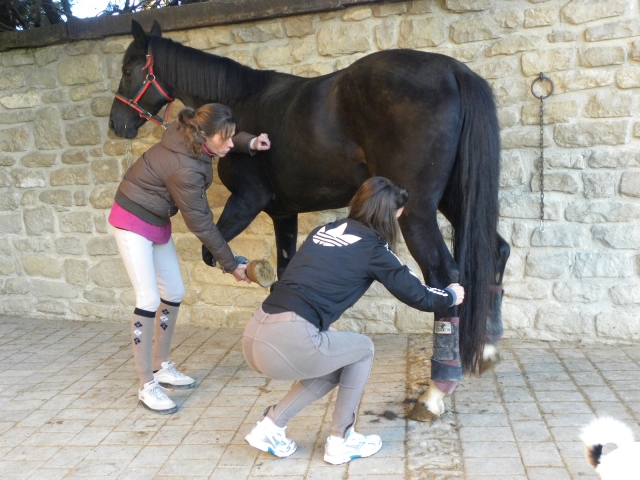 preparando el caballo