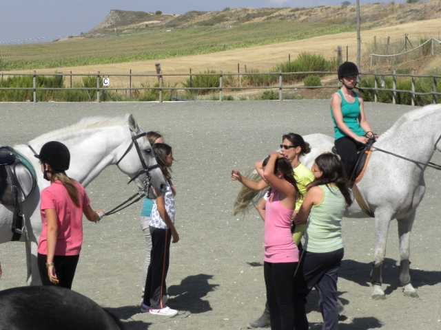 equitacion