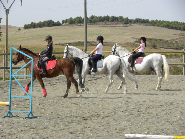 equitacion