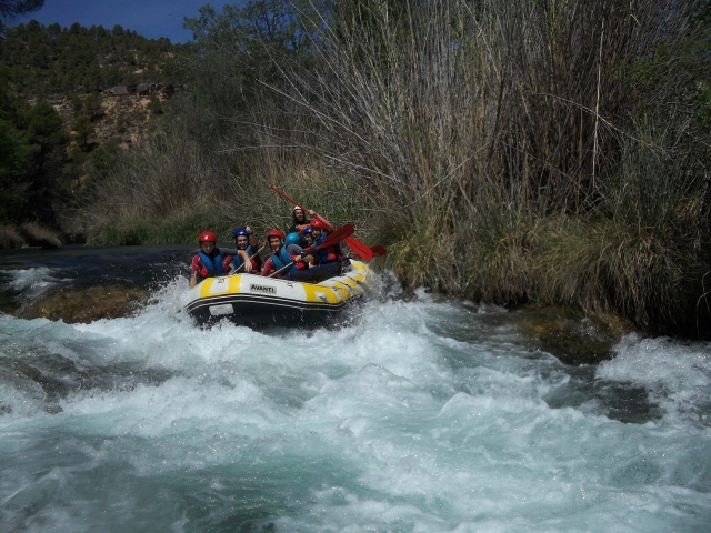  Durante l'attività 