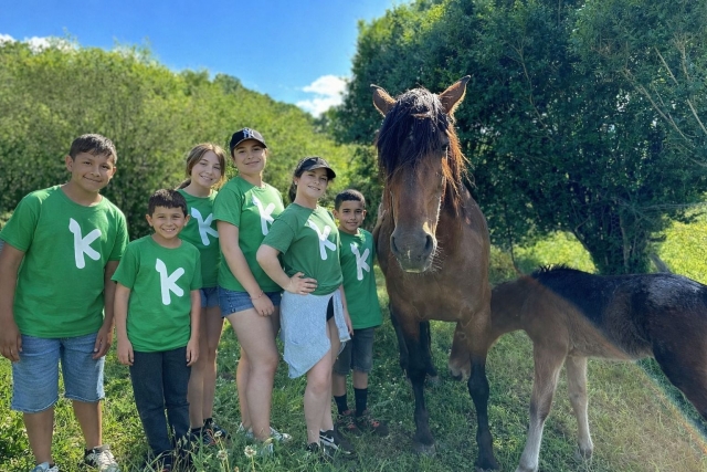 了解该地区的动物群 