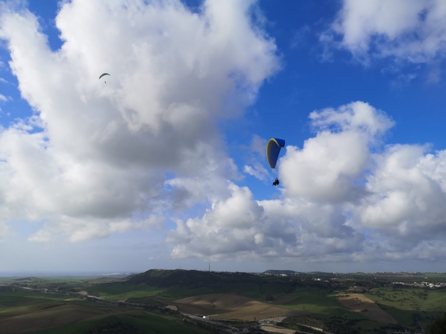  Simultaneous paragliding flight 