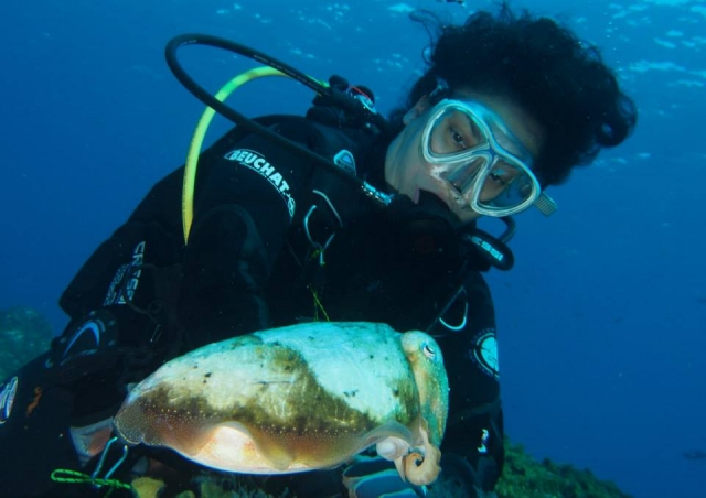 Mergulho com a fauna local 