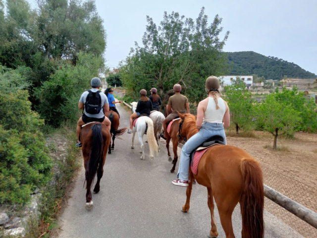  Horseback ride in Randa 