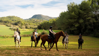 Horseback riding route to Can Majoral and wine tasting, 4h