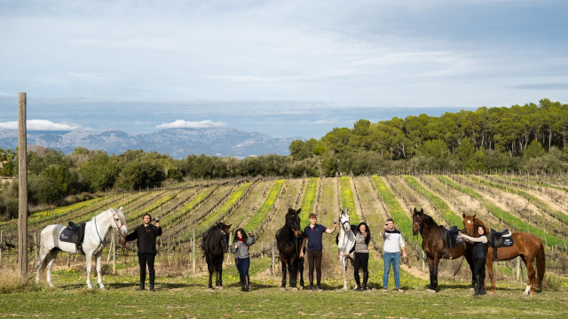  Participate in a horseback riding route