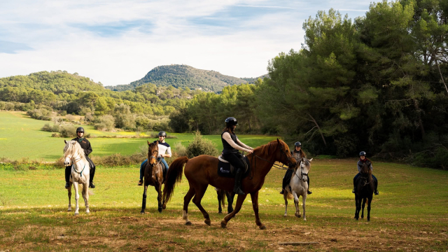 Horseback riding route to Can Majoral and wine tasting, 4h