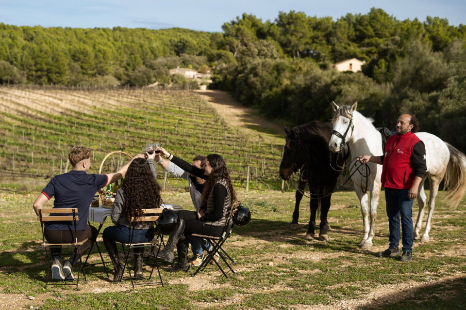  Equestrian experience with wine tasting 