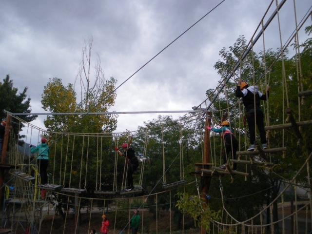  Circuit dans les arbres 