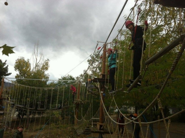  Tests dans les arbres 