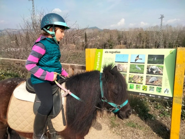  Impara a cavalcare un pony 