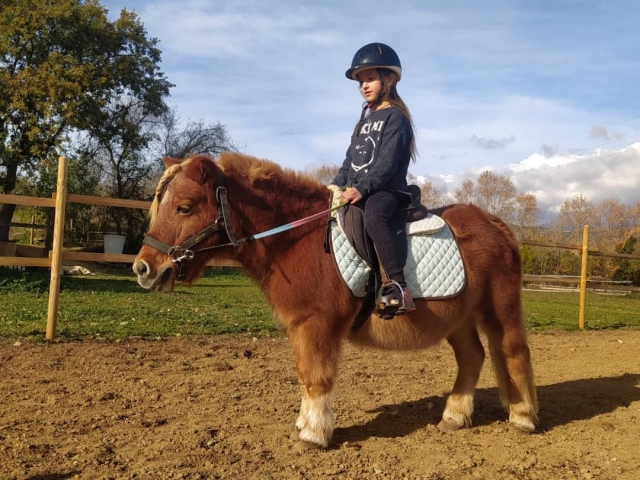  Cavalcando un pony 