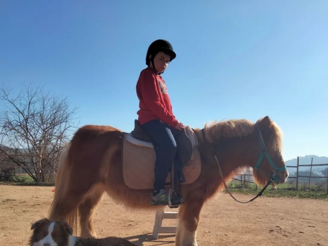  Bambino su un pony 