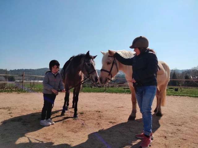  Vieni a cavalcare un pony