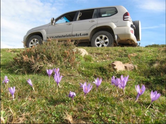  Percurso 4x4 