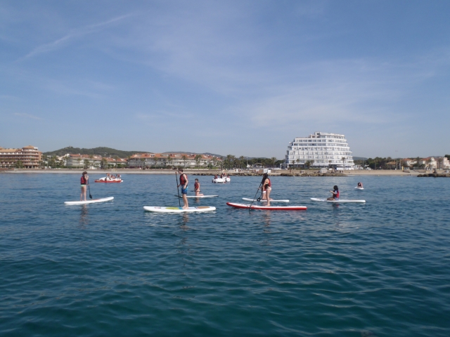 paddle surf 