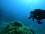 PADI Advanced Open Water Diver en Santa Ponça