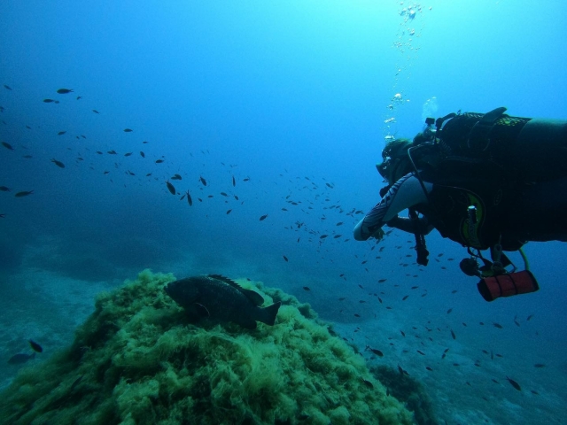PADI Advanced Open Water Diver en Santa Ponça