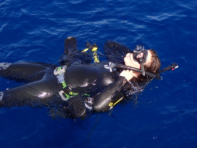 Mergulhador de águas abertas Padi em Santa Ponça, 3-4 dias
