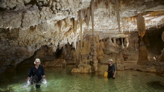 Espeleología en Cova des Coloms de Cala Falcó, 4h