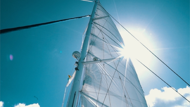 Vela