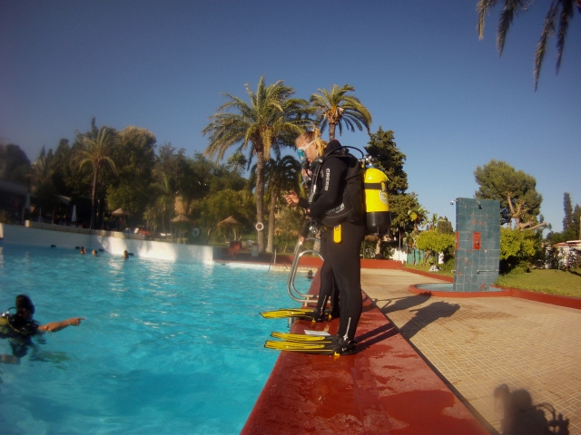  module dans la piscine 