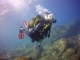 PADI Open Water Diver La Herradura