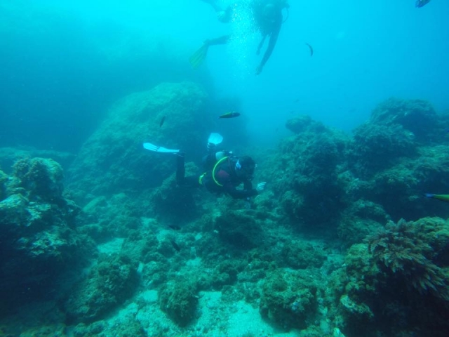 Experiencia maravillosa buceando