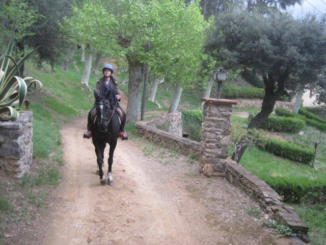 Disfrutando de la naturaleza a caballo