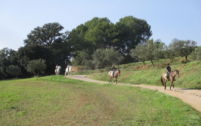 Paseo a caballo por los alrededores de Canoves