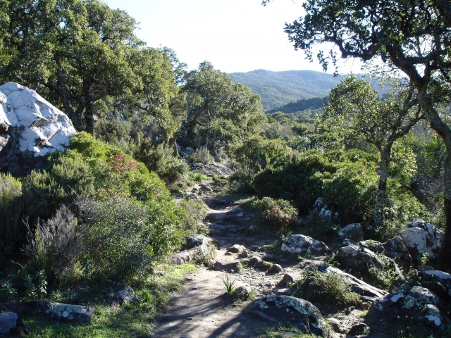  Camino Alcornocales 