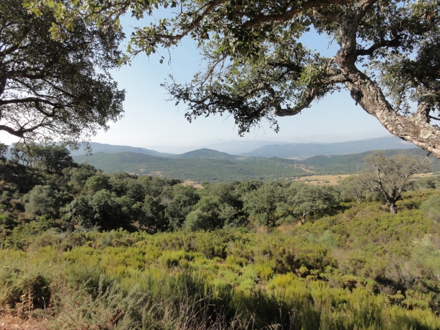  parc alcornocales
