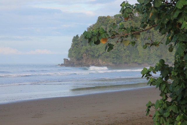 A costa 