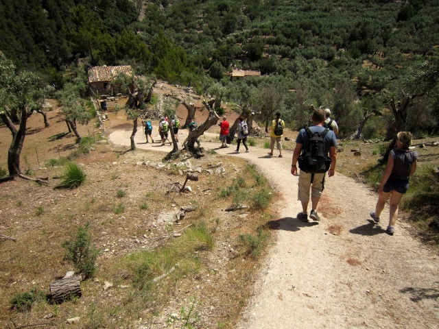 amenos caminos