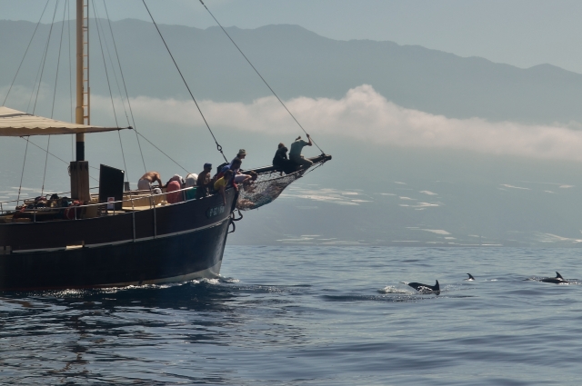  Segeln auf unserem Segelboot 