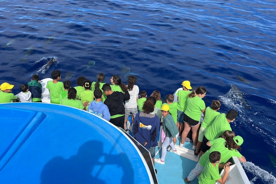  Crianças observando golfinhos 