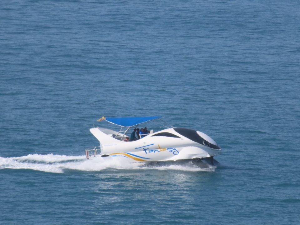  Passeio de barco para ver cetáceos 