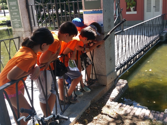  Appoggiarsi dietro la ringhiera 