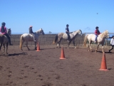 Reitkurs in La Laguna, Teneriffa, 1 Stunde