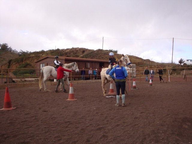  Riding class in the riding arena 