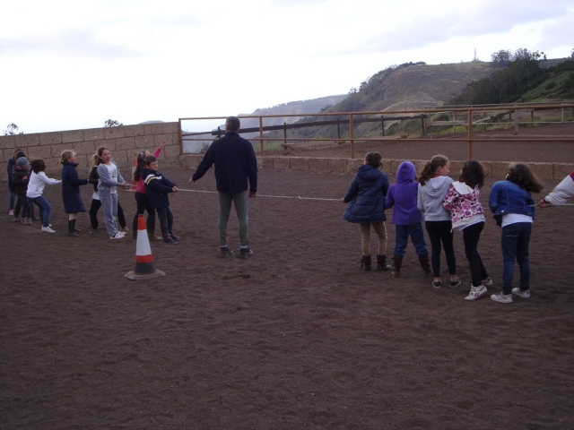 Pruebas por equipos