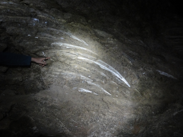  plâtre dans la grotte 