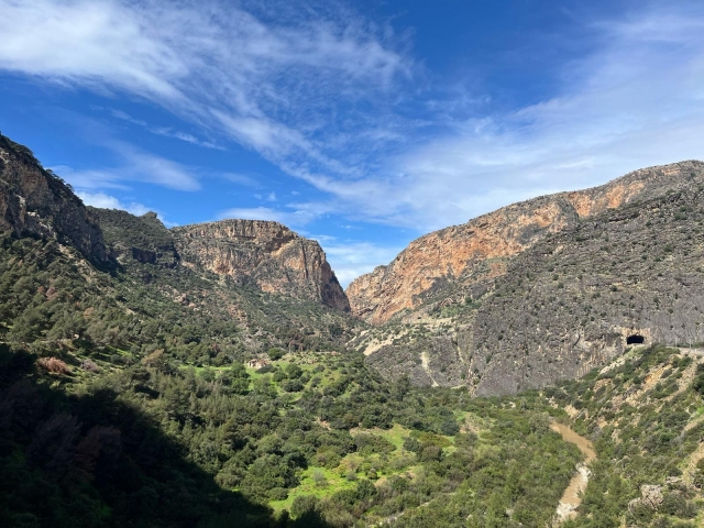  views during the activity