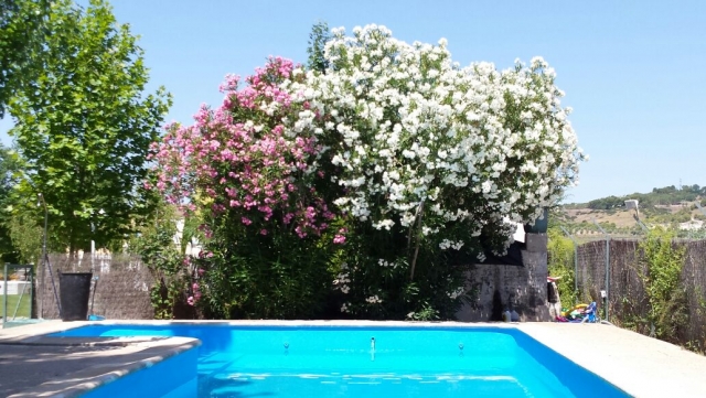  Così puoi fare un tuffo 